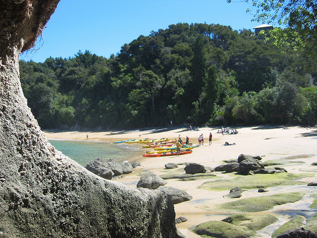 Abel Tasman National Park