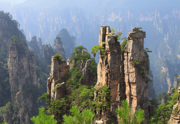 Tianzi Mountain