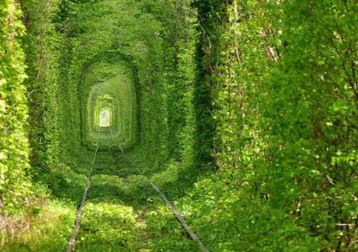 Tunnel of Love