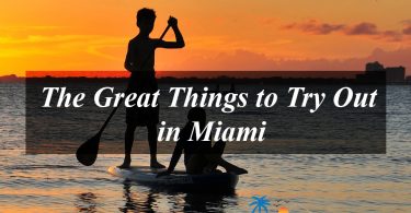 Miami activities