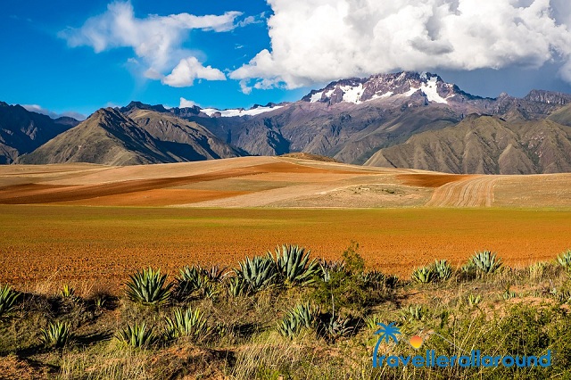 bolivia tourism board